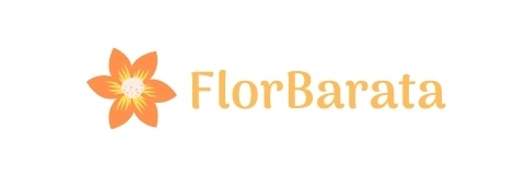 FlorBarata Coupons & Promo Codes