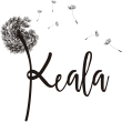 Keala Coupons & Promo Codes